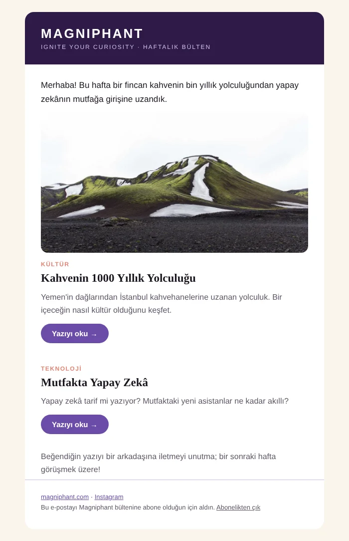 Haftalık bülten e-postasının tamamı
