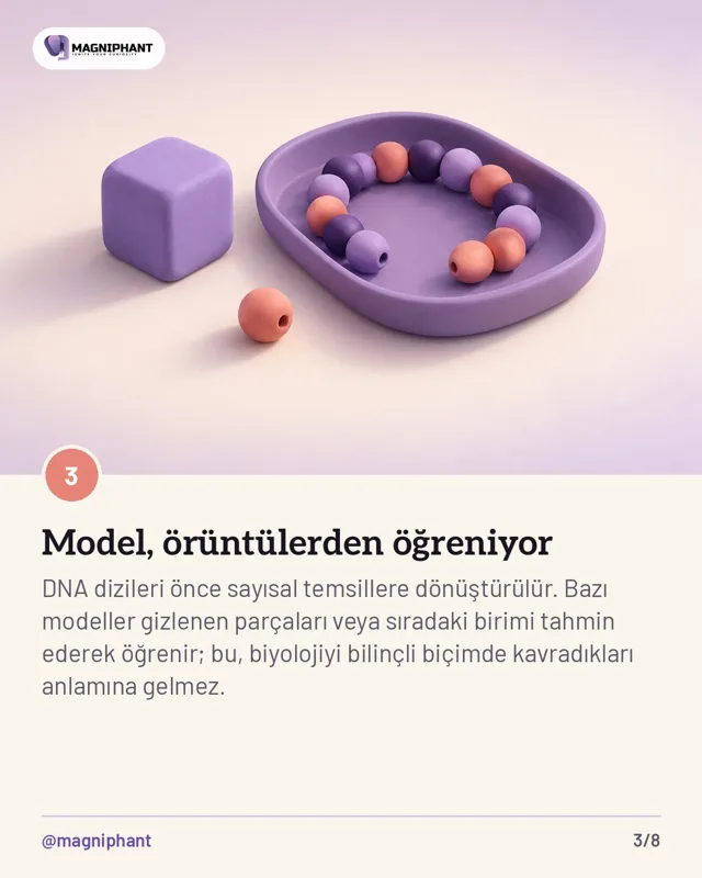 Magniphant Instagram gönderisi